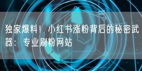 独家爆料！小红书涨粉背后的秘密武器：专业刷粉网站