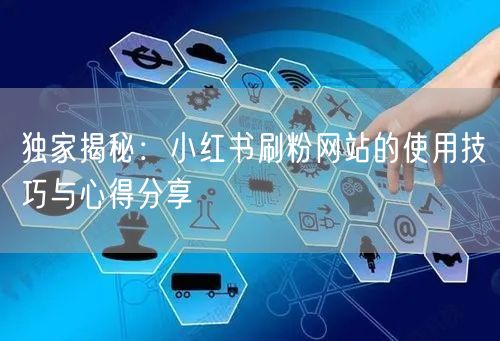 独家揭秘：小红书刷粉网站的使用技巧与心得分享