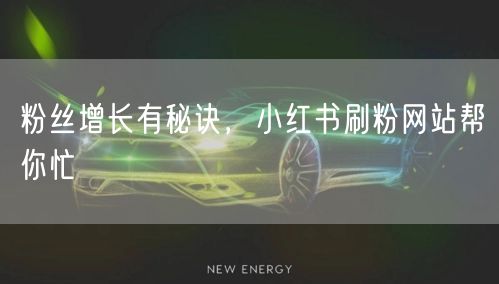粉丝增长有秘诀，小红书刷粉网站帮你忙