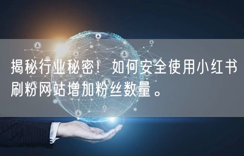 揭秘行业秘密!如何安全使用小红书刷粉网站增加粉丝数量。