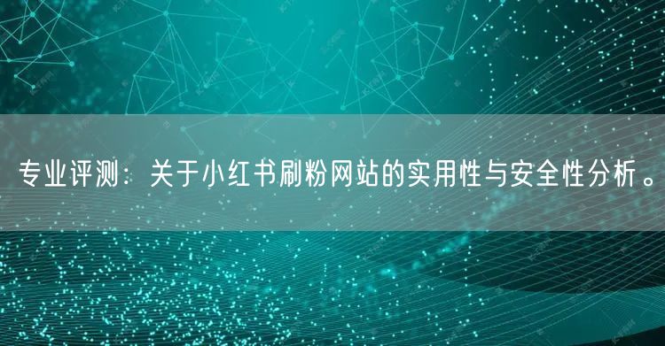 专业评测:关于小红书刷粉网站的实用性与安全性分析。