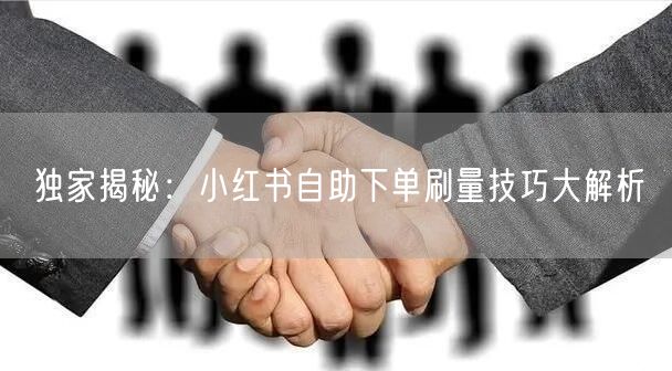 独家揭秘:小红书自助下单刷量技巧大解析