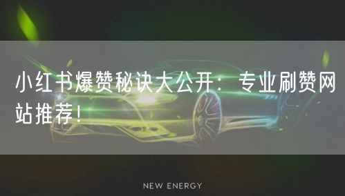 小红书爆赞秘诀大公开:专业刷赞网站推荐!