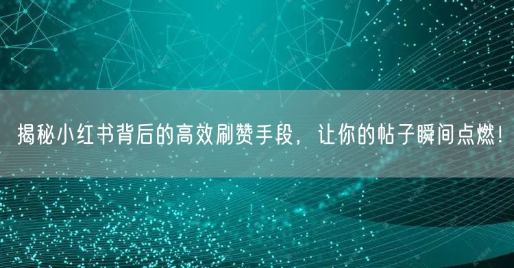 揭秘小红书背后的高效刷赞手段，让你的帖子瞬间点燃！