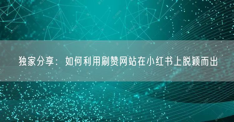 独家分享:如何利用刷赞网站在小红书上脱颖而出