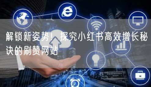 解锁新姿势!探究小红书高效增长秘诀的刷赞网站