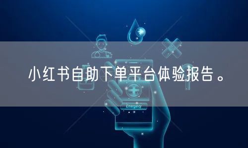 小红书自助下单平台体验报告。