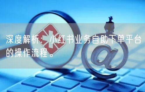 深度解析：小红书业务自助下单平台的操作流程。