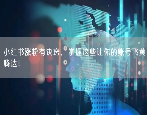 小红书涨粉有诀窍，掌握这些让你的账号飞黄腾达！