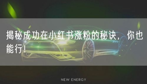 揭秘成功在小红书涨粉的秘诀，你也能行！