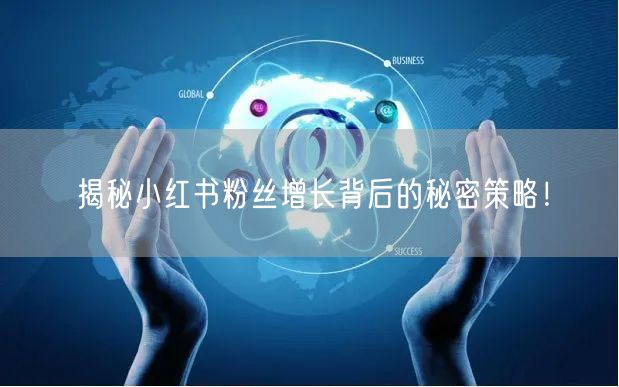 揭秘小红书粉丝增长背后的秘密策略！