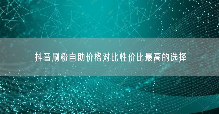 抖音刷粉自助价格对比性价比最高的选择