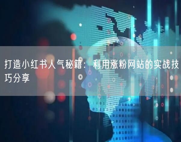 打造小红书人气秘籍：利用涨粉网站的实战技巧分享