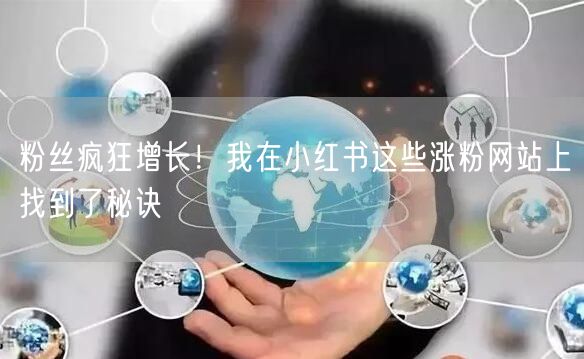 粉丝疯狂增长！我在小红书这些涨粉网站上找到了秘诀