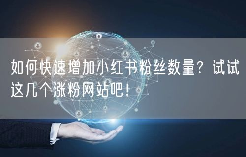 如何快速增加小红书粉丝数量？试试这几个涨粉网站吧！