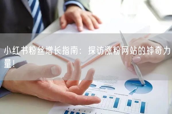小红书粉丝增长指南：探访涨粉网站的神奇力量！