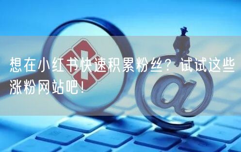 想在小红书快速积累粉丝？试试这些涨粉网站吧！