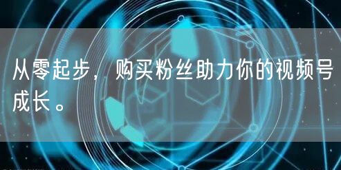 从零起步，购买粉丝助力你的视频号成长。