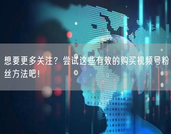 想要更多关注？尝试这些有效的购买视频号粉丝方法吧！