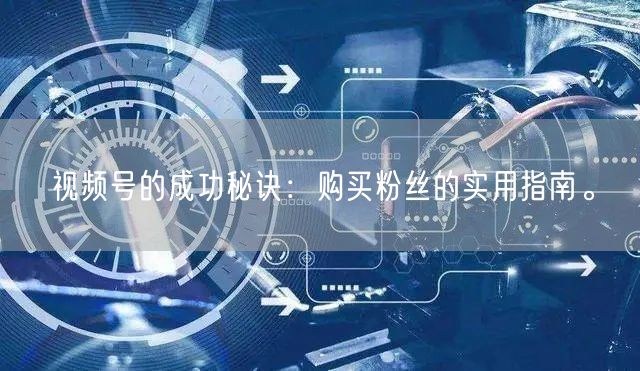 视频号的成功秘诀：购买粉丝的实用指南。