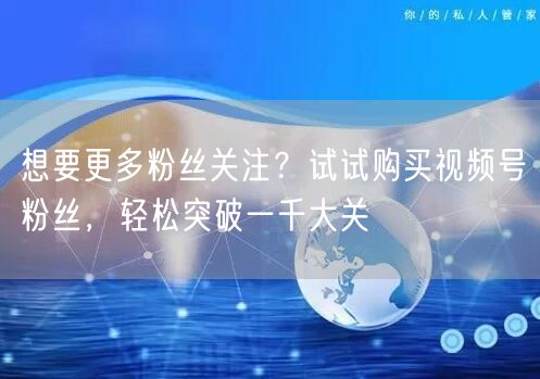 想要更多粉丝关注？试试购买视频号粉丝，轻松突破一千大关