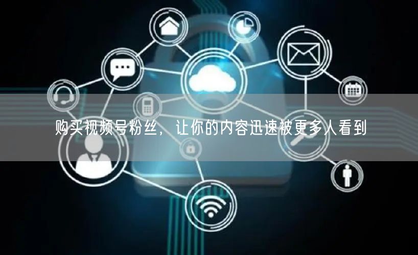 购买视频号粉丝，让你的内容迅速被更多人看到