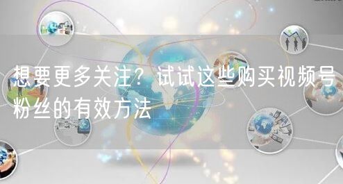 想要更多关注？试试这些购买视频号粉丝的有效方法