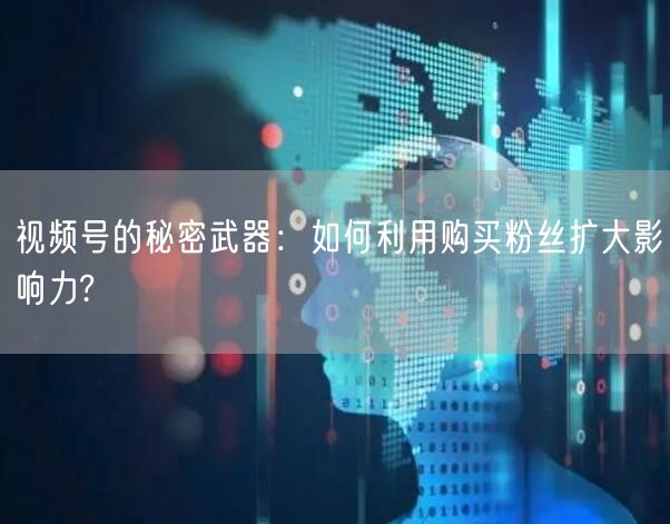 视频号的秘密武器：如何利用购买粉丝扩大影响力?