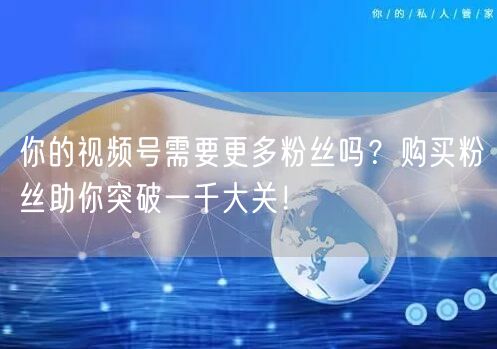 你的视频号需要更多粉丝吗?购买粉丝助你突破一千大关!