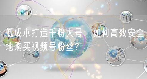 低成本打造千粉大号:如何高效安全地购买视频号粉丝?