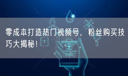 零成本打造热门视频号,粉丝购买技巧大揭秘!