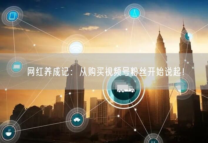 网红养成记：从购买视频号粉丝开始说起！