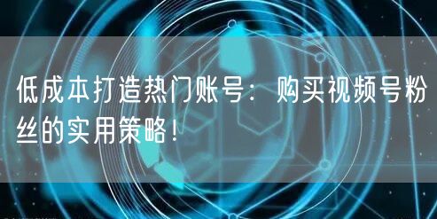 低成本打造热门账号：购买视频号粉丝的实用策略！