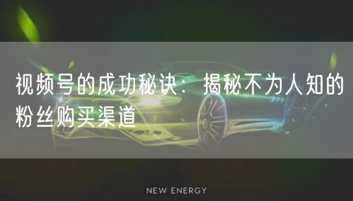 视频号的成功秘诀：揭秘不为人知的粉丝购买渠道