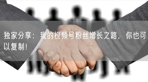 独家分享:我的视频号粉丝增长之路,你也可以复制!