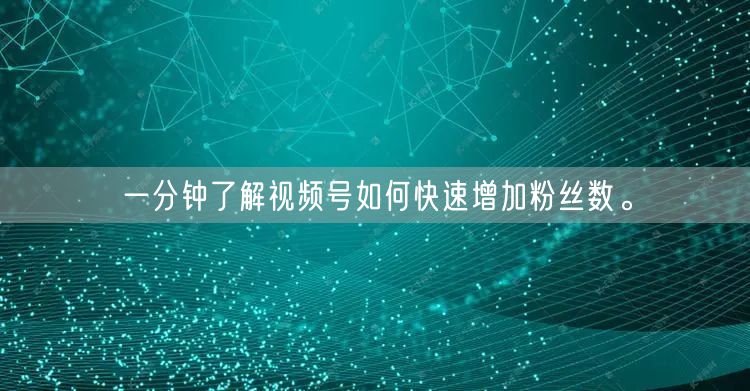 一分钟了解视频号如何快速增加粉丝数。