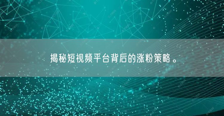 揭秘短视频平台背后的涨粉策略。