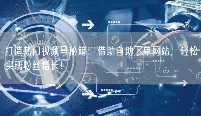 打造热门视频号秘籍：借助自助下单网站，轻松实现粉丝增长！