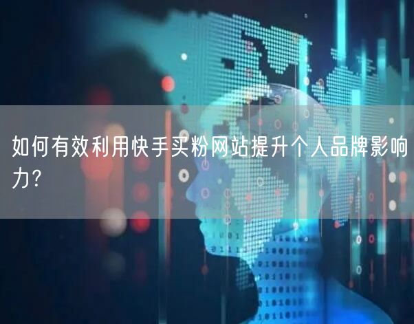 如何有效利用快手买粉网站提升个人品牌影响力？