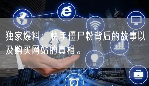 独家爆料：快手僵尸粉背后的故事以及购买网站的真相。