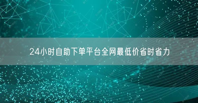 24小时自助下单平台全网最低价省时省力