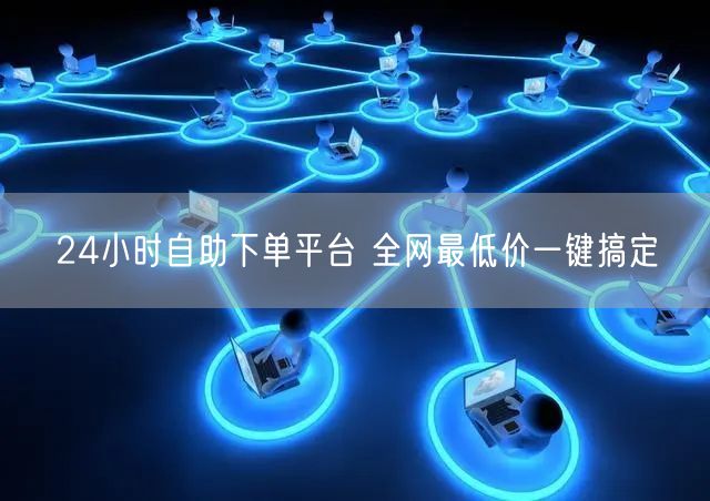24小时自助下单平台 全网最低价一键搞定