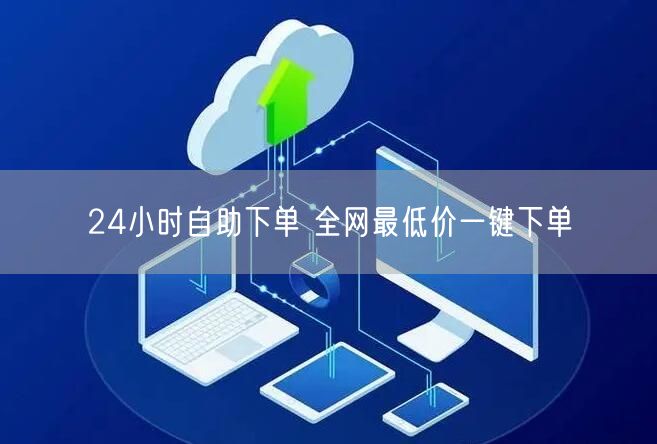 24小时自助下单 全网最低价一键下单