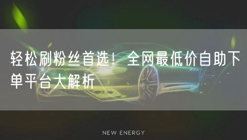 轻松刷粉丝首选！全网最低价自助下单平台大解析