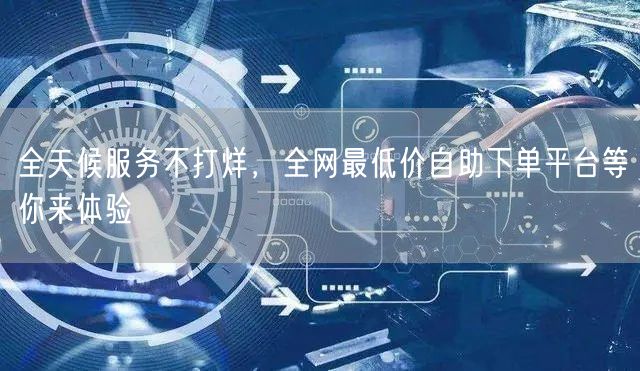 全天候服务不打烊，全网最低价自助下单平台等你来体验