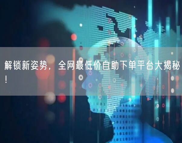 解锁新姿势，全网最低价自助下单平台大揭秘！