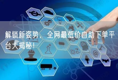 解锁新姿势，全网最低价自助下单平台大揭秘！