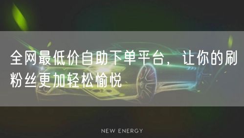 全网最低价自助下单平台，让你的刷粉丝更加轻松愉悦