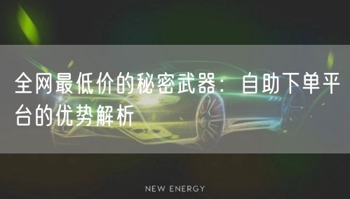 全网最低价的秘密武器：自助下单平台的优势解析