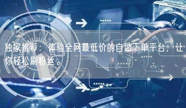 独家推荐：体验全网最低价的自助下单平台，让你轻松刷粉丝。